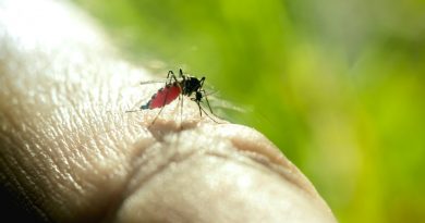 muggen overlast aanhoudend